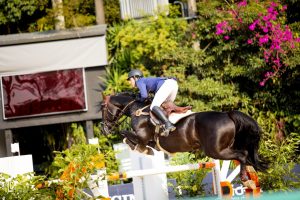 DARCO SH 2019-09-08