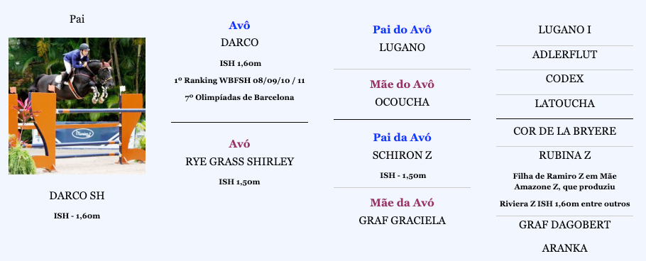 DORA-SH---Árvore-Genealógica-Paterna DORA-SH---Árvore-Genealógica-Paterna
