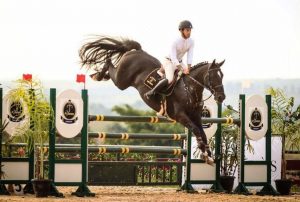 foto-darco-site-haras