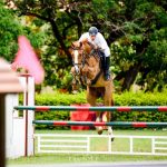 sl-belico-harassh-02