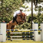 sl-belico-harassh-03