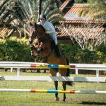 FORRO-STA-HELENA-04