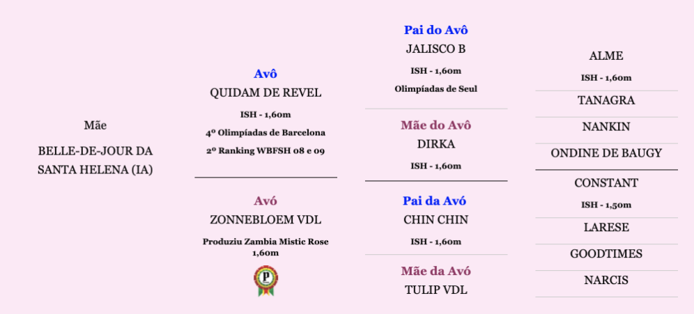 av-2 av-2