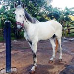 EZEQUIEL-1