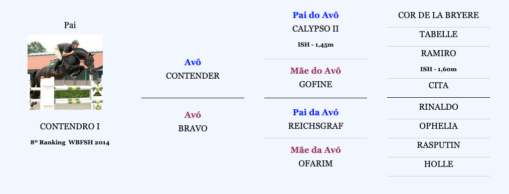 avg-conmel-pai avg-conmel-pai
