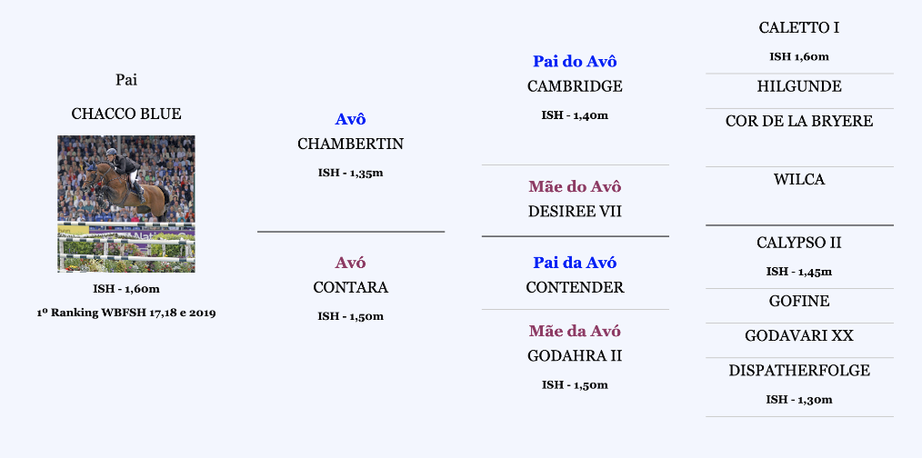 av av