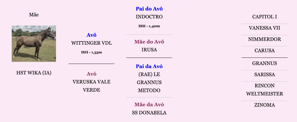 celular-hst-wika.png