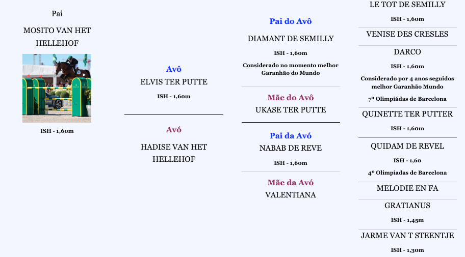 Árvore-Genealógica-Paterna---Potro-Futuro-Mosito-Van-Het-Hellehof-x-Dora-SH-(Outubro-2024) Árvore-Genealógica-Paterna---Potro-Futuro-Mosito-Van-Het-Hellehof-x-Dora-SH-(Outubro-2024)