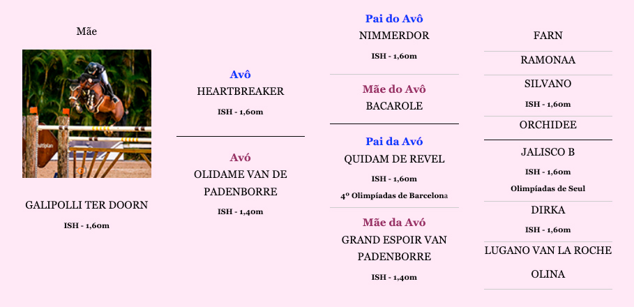 Árvore-Genealógica-Materna---LADY-GALIPOLLI-SH- Árvore-Genealógica-Materna---LADY-GALIPOLLI-SH-