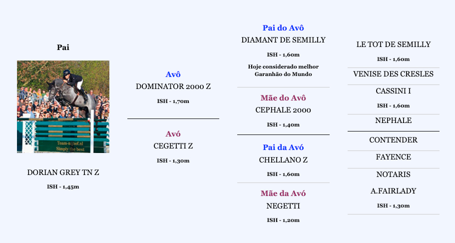 Árvore-Genealógica-Paterna---LADY-GALIPOLLI-SH- Árvore-Genealógica-Paterna---LADY-GALIPOLLI-SH-