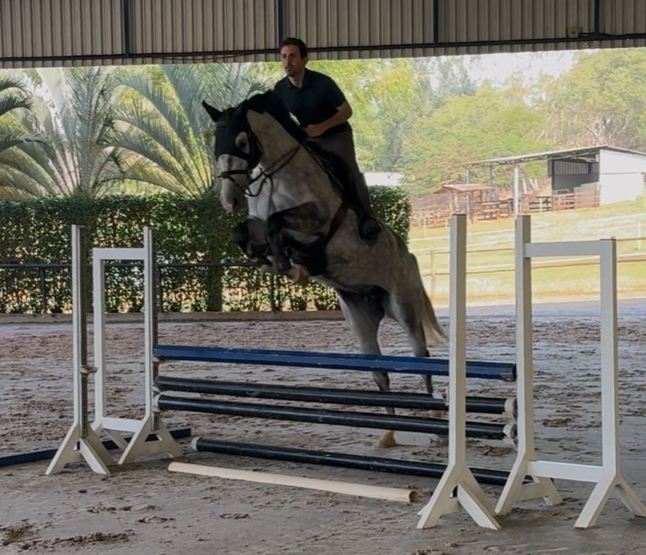 PHOTO GIRL UNTOUCHABLE SH (1)