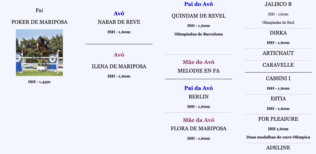 260108-poker-de-mariposa-celular